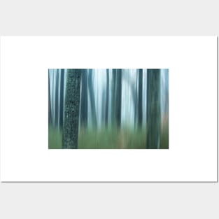 semi blurred trees in forest with vertical lines Posters and Art